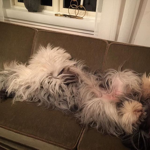 15624401_1808158746099278_1017964771648995328_n-copy