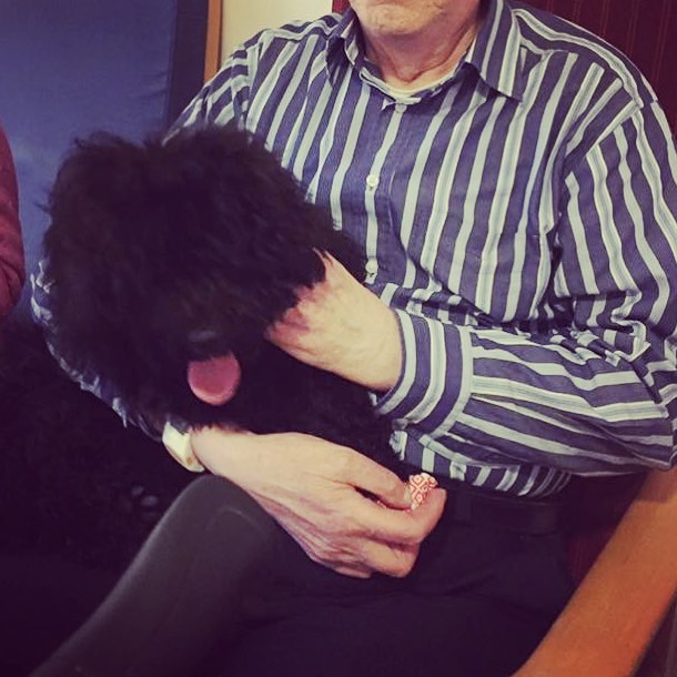 15802228_144193676071087_4829271398104956928_n