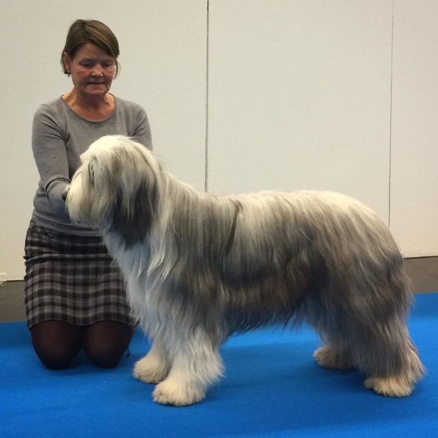 15877322_1671052226526152_1220324651176034304_n