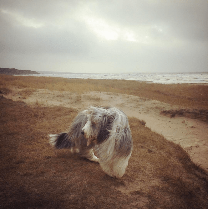 screen-shot-2017-01-17-at-17-05-02