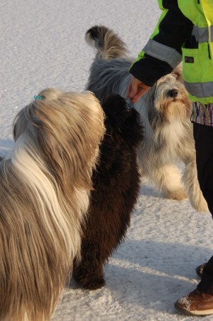 Ester kan sitta fint