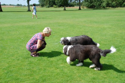 Katarina med två av valparna