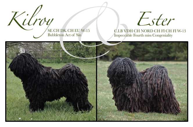 Kilroy och Ester färg