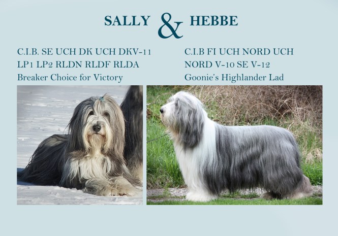 Sally och Hebbe 2013