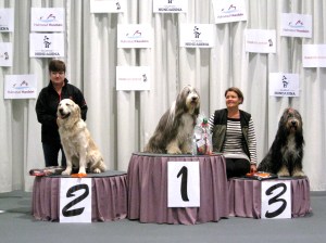 Sally Wilma Rally 2012 dec