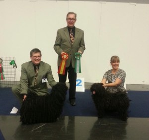 CsaboBIR RyaBIM MyDog 2013