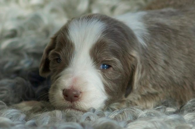 bright as daylight 8web