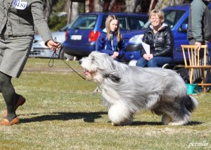 Nisse Smalandsstenar3