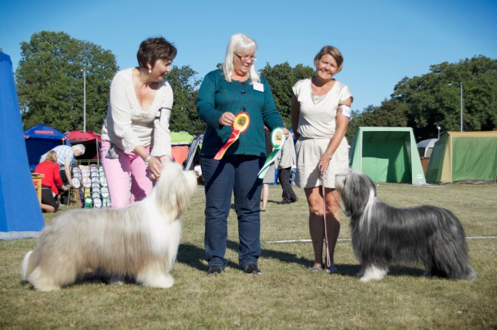 20130825 Visby BIR BIM