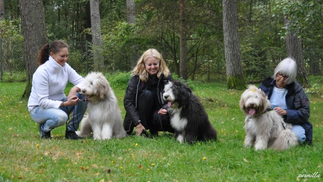 Tina med Bailey, Annette med Malkin och Ingrid med Busan