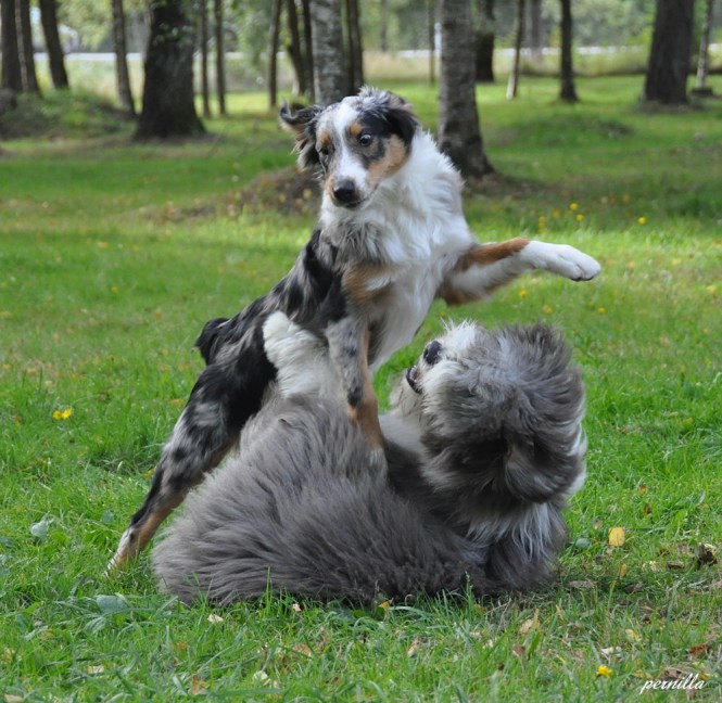 Freya busar med Plupp