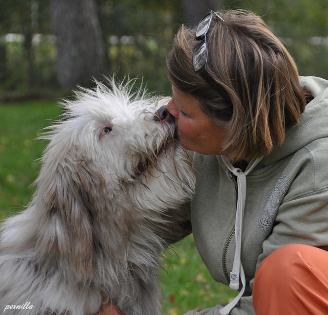 Jag får en blöt puss av Bailey