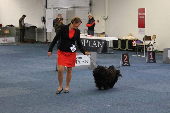 1378508_10151696996655848_1823371282_n