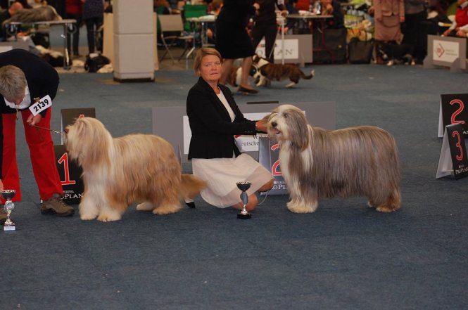 536246_10151700723385848_1786578409_n