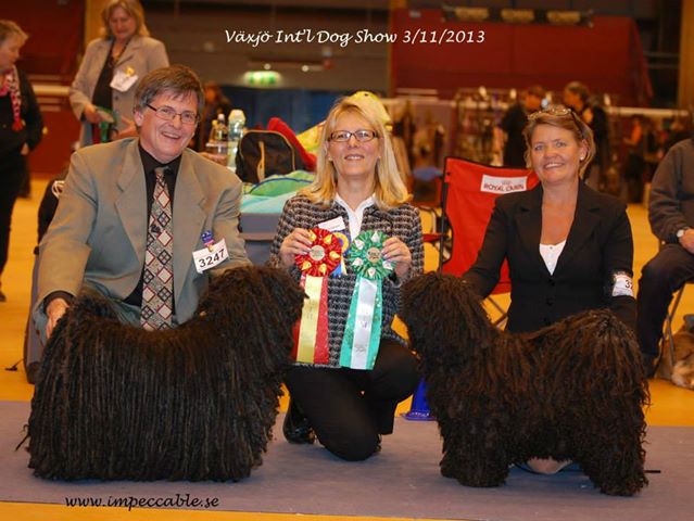 1384011_10151736733435848_521270314_n