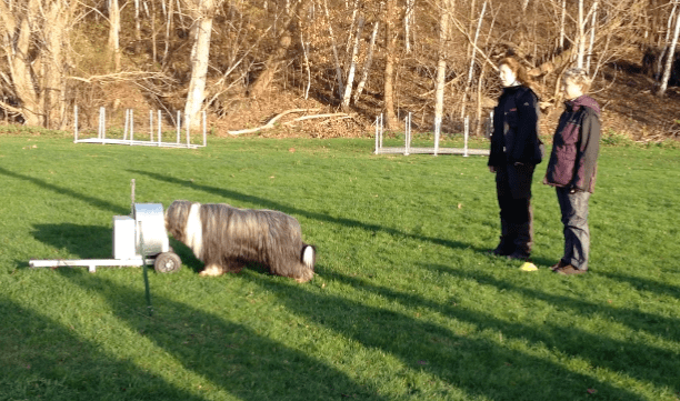 Skärmavbild 2013-12-06 kl. 19.23.28