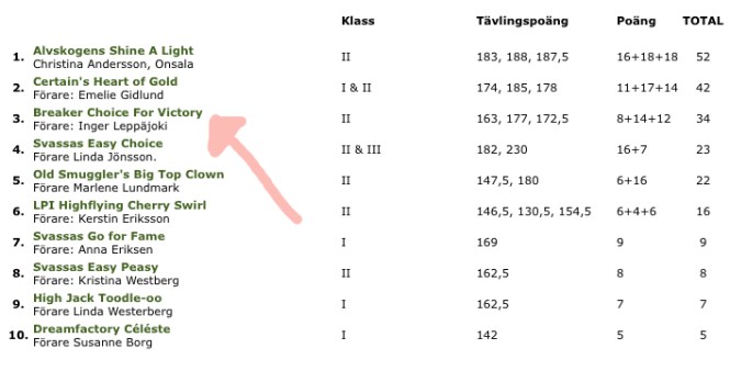 Sally 3a lydnad 2013