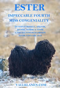 Annons 1 Furien 2014