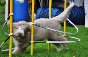 Skärmavbild 2014-03-16 kl. 16.56.28