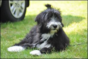 Vera foto anneli eek