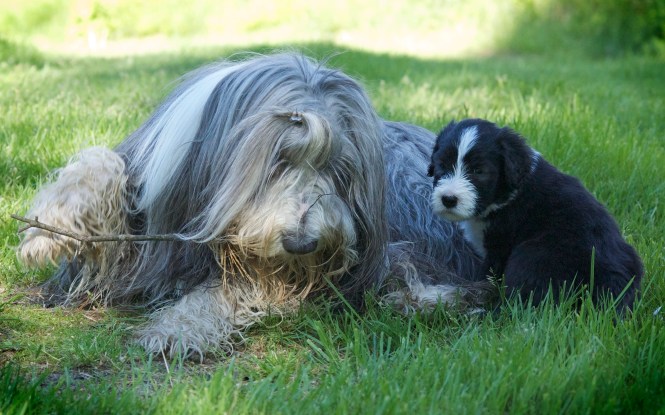 BenbeculaBoyandSally