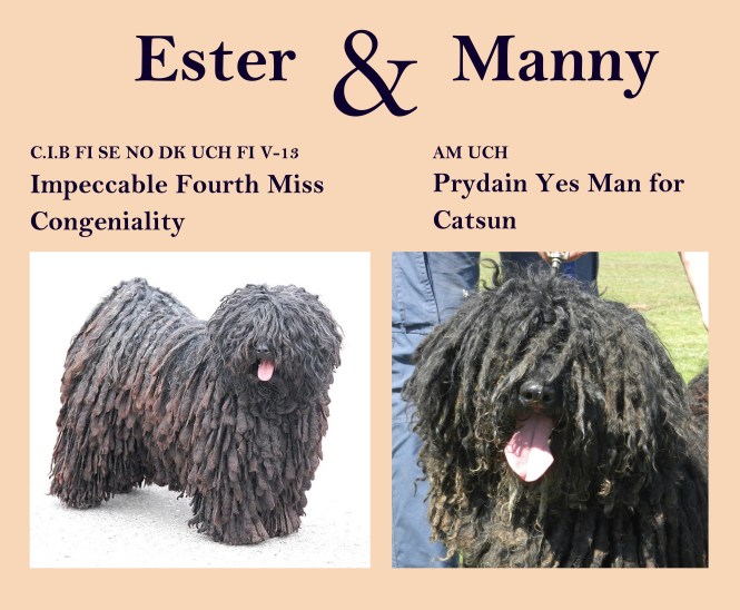 Ester and Manny 2014