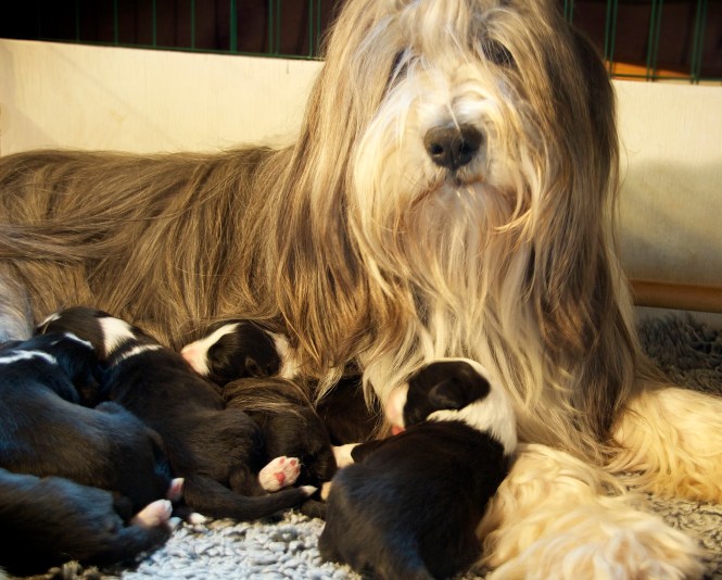 SallyOchValparna2014