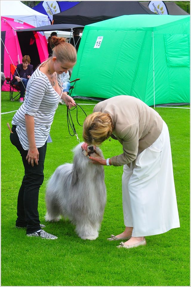 10504983_10152504501578756_4934283198404920726_o