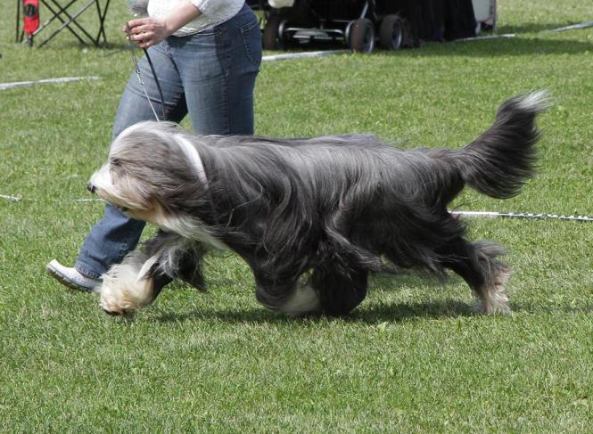 Ben Champion Fi 2014