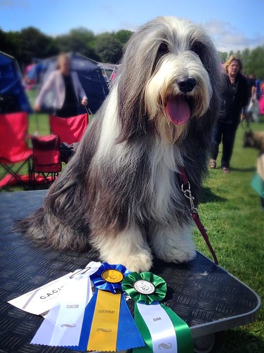 Ella champion juli 2014.