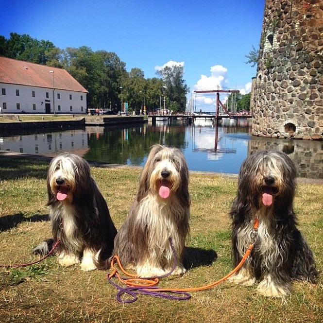 EllaSallyWilmaJuli2014