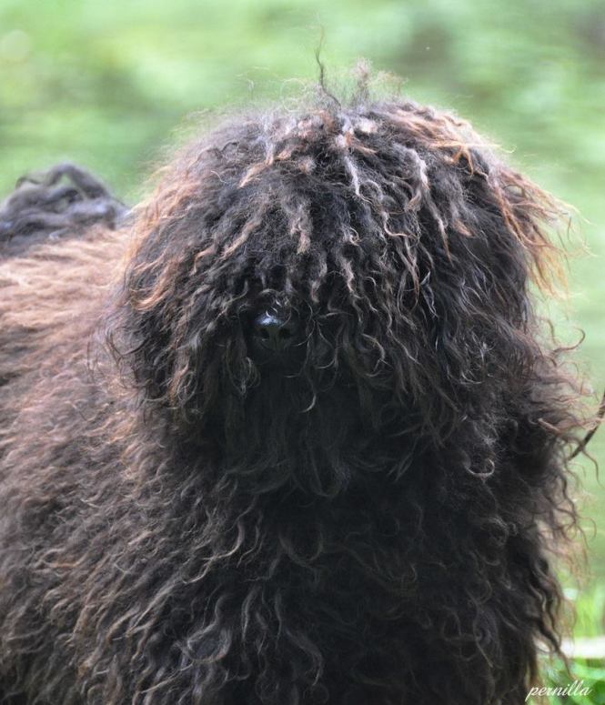 Foto: Pernilla Engstrand