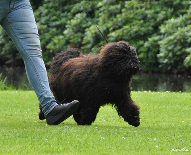 Kafka BIM i Ronneby, augusti 2015. Foto: Pernilla Engstrand