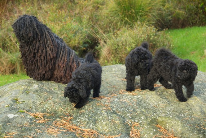 DSC_0021SiriBjornKafka