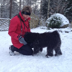 10965160_871768996208920_1072850434_o