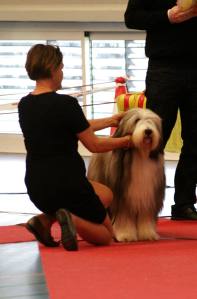 11051994_837889306248477_5208689006121538752_n