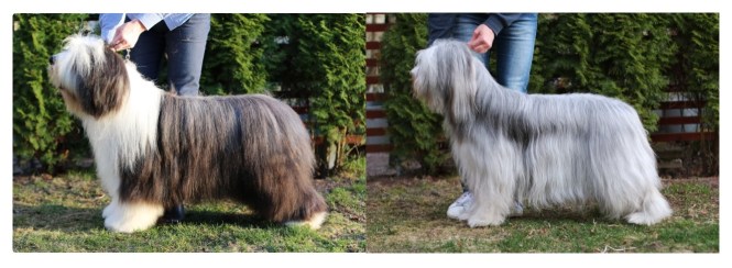 LeoOchNovaTillsammans