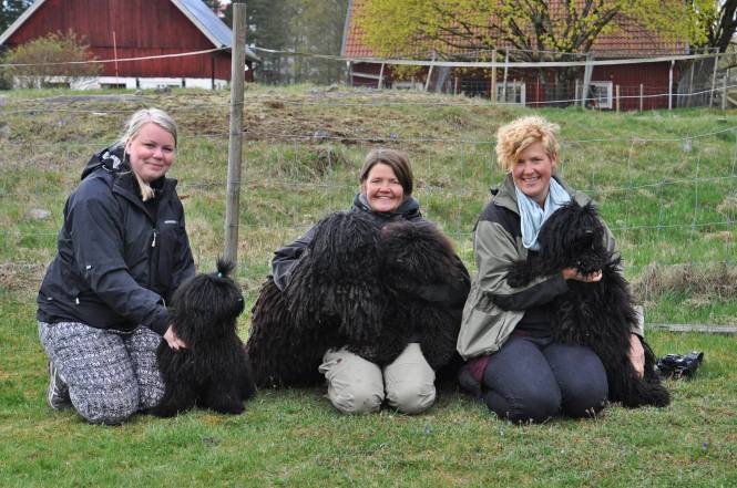 11202798_10153262779718756_1517411100_o