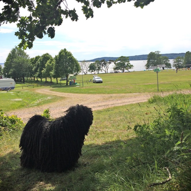 IMG_6261vreta kloster