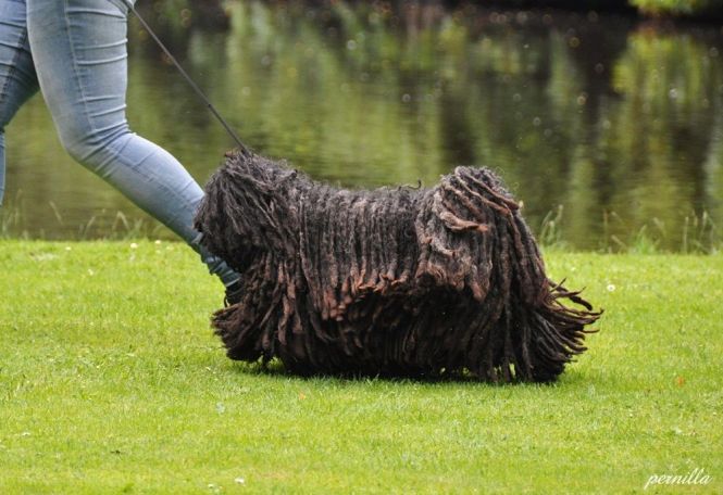 Foto: Ewa Roos-Larsson