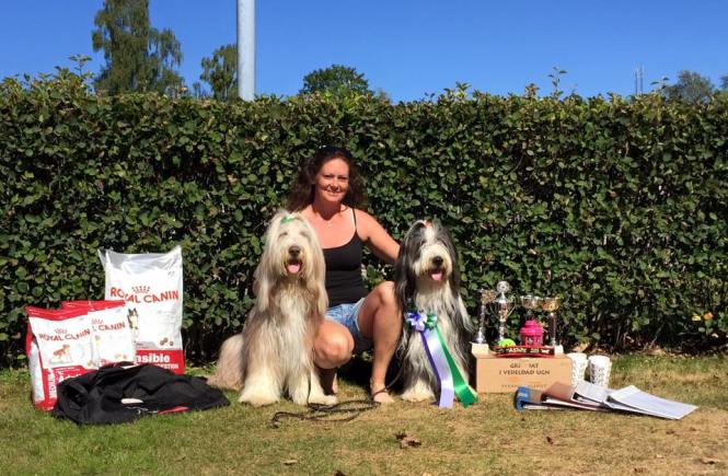 11892107_1136148153066050_2992123729539660608_n