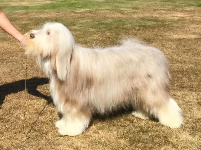 11918949_1135580216456177_7594238005846210803_n