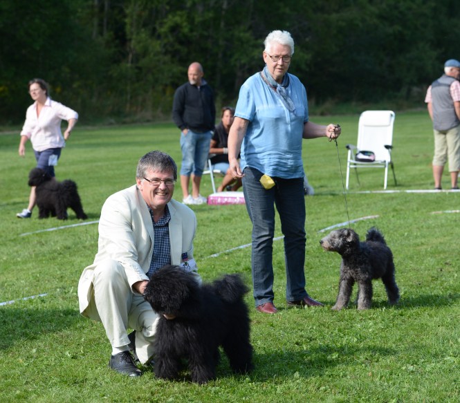 Final BISvalp 4-6mån