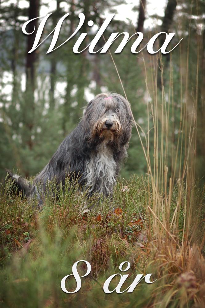 Wilma 8 år