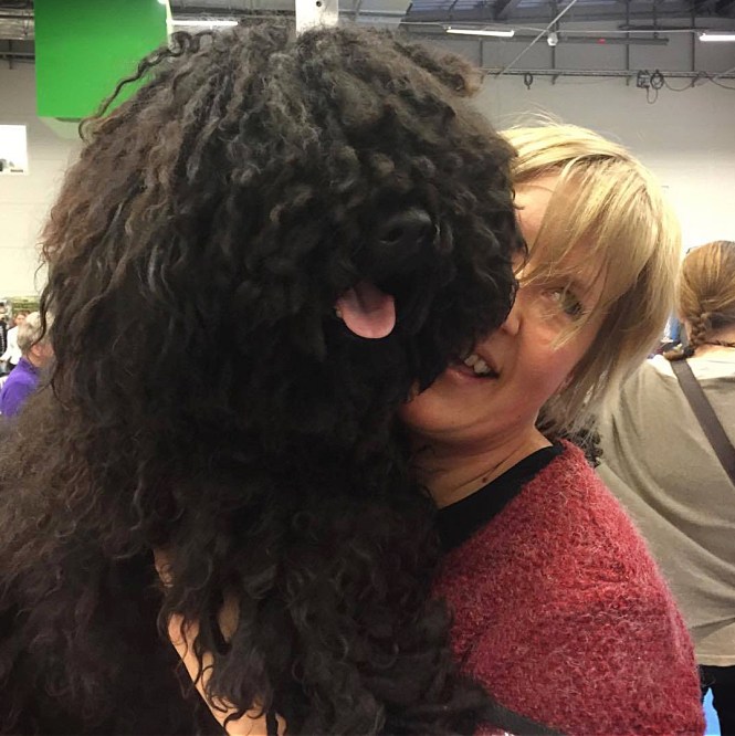 12874374_1086555581396926_1090361026_o