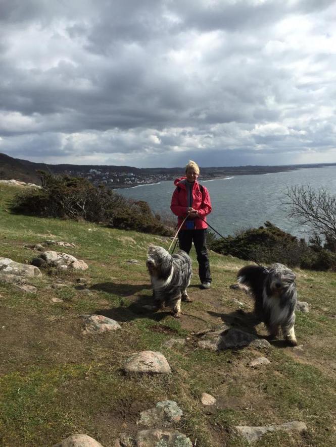 12970688_991832157521035_1212608340_o