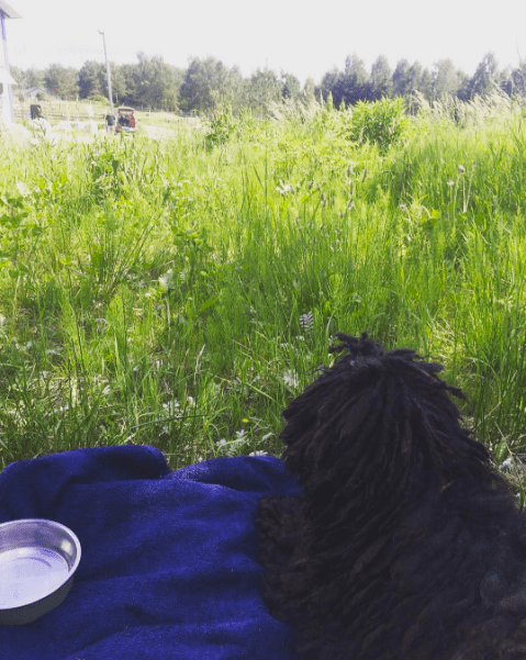 Skärmavbild 2016-06-06 kl. 18.08.56