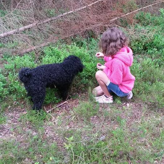 13695224_1166913990027751_1794064493_n