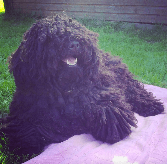 Skärmavbild 2016-08-07 kl. 16.32.12