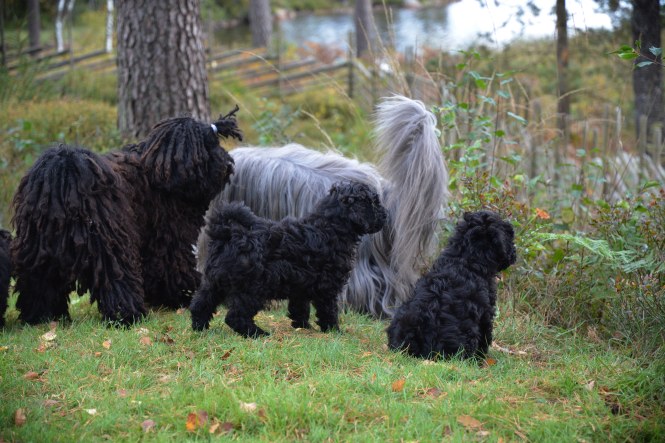 dsc_5831hygge-i-mitten